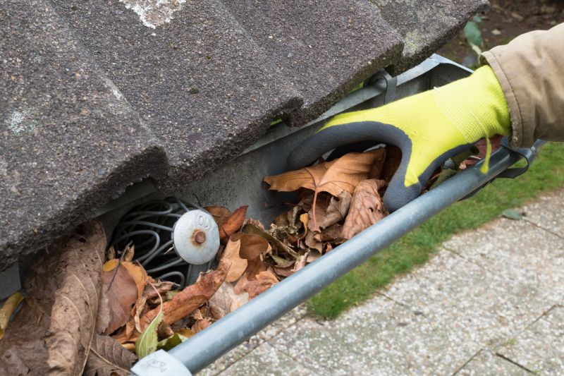Gutter and Surface Cleaning
